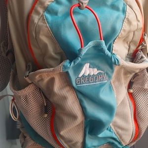 Vintage Gregory Day Pack